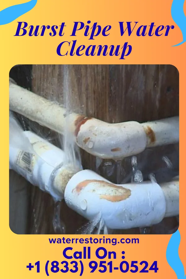 Burst Pipe Water Cleanup in South Huntington, NY