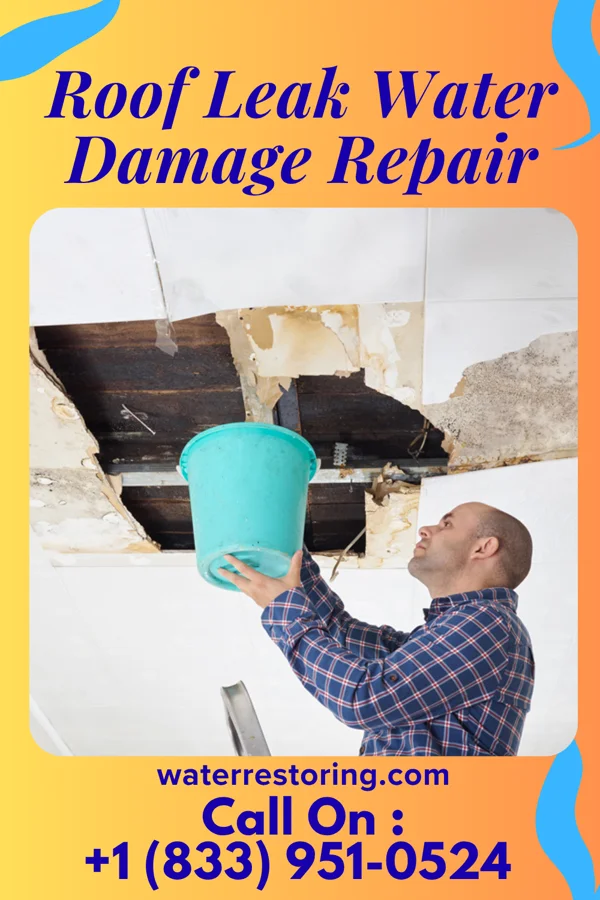 Roof Leak Water Damage Repair in South Huntington, NY