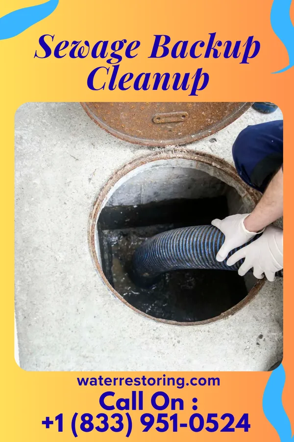 Sewage Backup Cleanup in South Huntington, NY