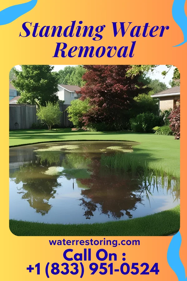 Standing Water Removal in South Huntington, NY
